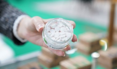 Altının Suyunu Çıkardılar, Kozalağın Şurubunu Yaptılar