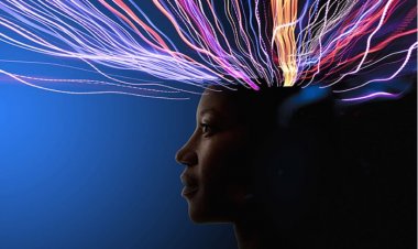 Geleceğin Dünyası: Kuantum Öngörüsü ve Brainet