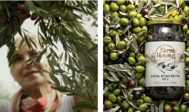 Binlerce Yıllık Miras: Kazdağı'ndan Dünya Kalitesinde Zeytinyağı