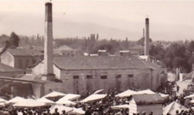 Evliyazade Zeytinyağının Yüzyıllık Mirası: Bir Aile Geleneği