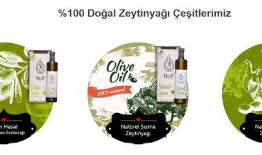 Kendi Zeytin Ağacınıza Sahip Olun: Naif Ege Zeytincilik ile Unutulmaz Bir Deneyim