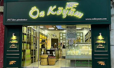 Kökten Zeytincilik: Gelenekten Modernliğe Uzanan Bir Zeytinyağı Hikayesi