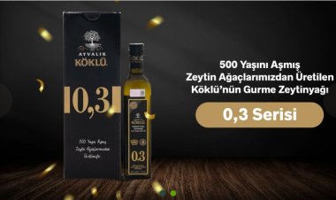 Ayvalık’tan Gelen Doğal Lezzet: Köklü Zeytincilik