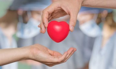 Organ Bağışı Hakkında Yanlış Bilgiler Engel Oluyor: Türkiye Güvenli Ülkeler Arasında