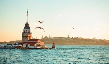 İş Dünyası  İstanbul Sanayi Odası Firma Bilgileri, İhracat Firmaları - 3