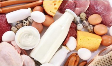 Türkiye’nin İstanbul'un Hayvansal Gıda Sanayisi: İhracat Yapan ve İç Piyasaya Üretim Yapan Firmalar