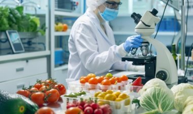 Türkiye'nin İstanbul'un Bitkisel Gıda Sanayisi: Hangi Firmalar İhracatta Öne Çıkıyor?