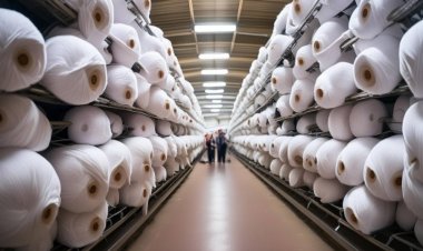 Türkiye’nin İstanbul'un Tekstil Terbiye, Boya ve Baskı Sanayisi: Sektörde Öne Çıkan Firmalar