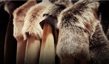 Türkiye’nin Deri ve Kürk Giyim Sanayisi: Sektörde Öne Çıkan Firmalar ve İhracat Liderleri