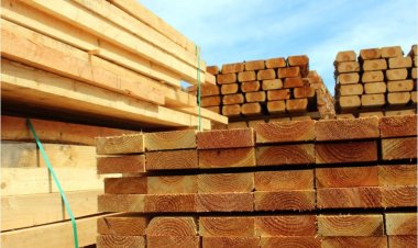 Türkiye’nin İstanbul'un Orman Ürünleri Sanayii Büyüyor: Önde Gelen Firmalar ve Pazar Gücü