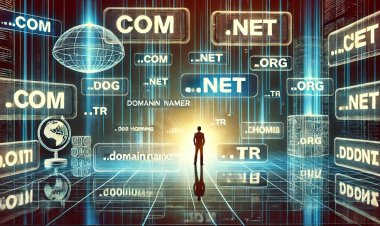 Domain Uzantıları: .com, .net, .org ve Diğerleri Arasındaki Farklar