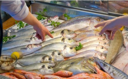 Rüyada Balık Görmek Ne Anlama Gelir? İslam Âlimlerinden Detaylı Tabirler