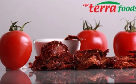 Bergama’nın Kurutulmuş Domates Markası Terra Foods  Konkordato Sürecinde