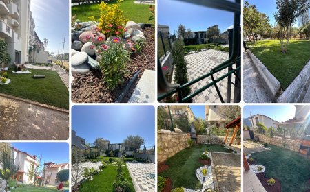 Kalender Peyzaj: İzmir’de profesyonel peyzaj çözümleri