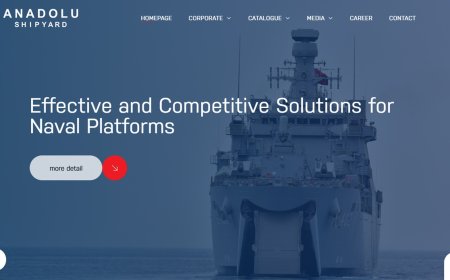 Anadolu Shipyard: From Commercial Roots to Turkey's Premier Naval Vessel Builder