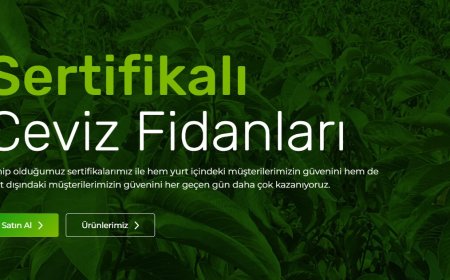 Narlı Botanik sertifikalı ceviz fidanı ihracatıyla küresel pazara açılıyor