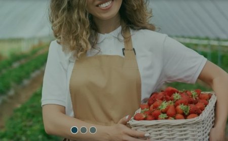 İska Sera Sistemleri modern teknolojilerle tarıma yön veriyor