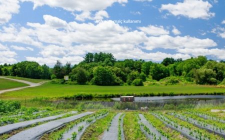 Bereket Plastik 90 tonluk kapasiteyle 3 kıtaya ihracat yapıyor